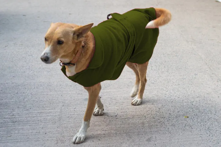 Community Dog Fleece Jackets